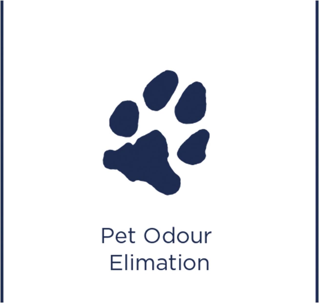 BISSELL 1087N Formula Wash & Protect PET 1,5 L Reinigungsmittel